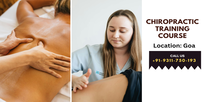 Comprehensive Guide to Chiropractic Training Courses